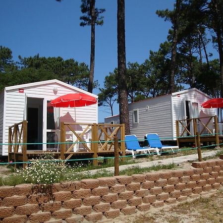 Orbitur Caminha Bungalows - Caravan Park Екстериор снимка